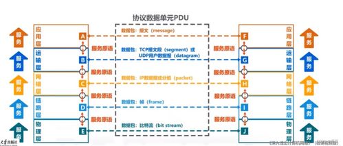 计算机网络概论 网络基础与系统性服务解析